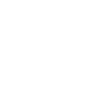 GF FERRE