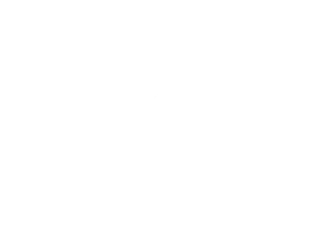 GF FERRE